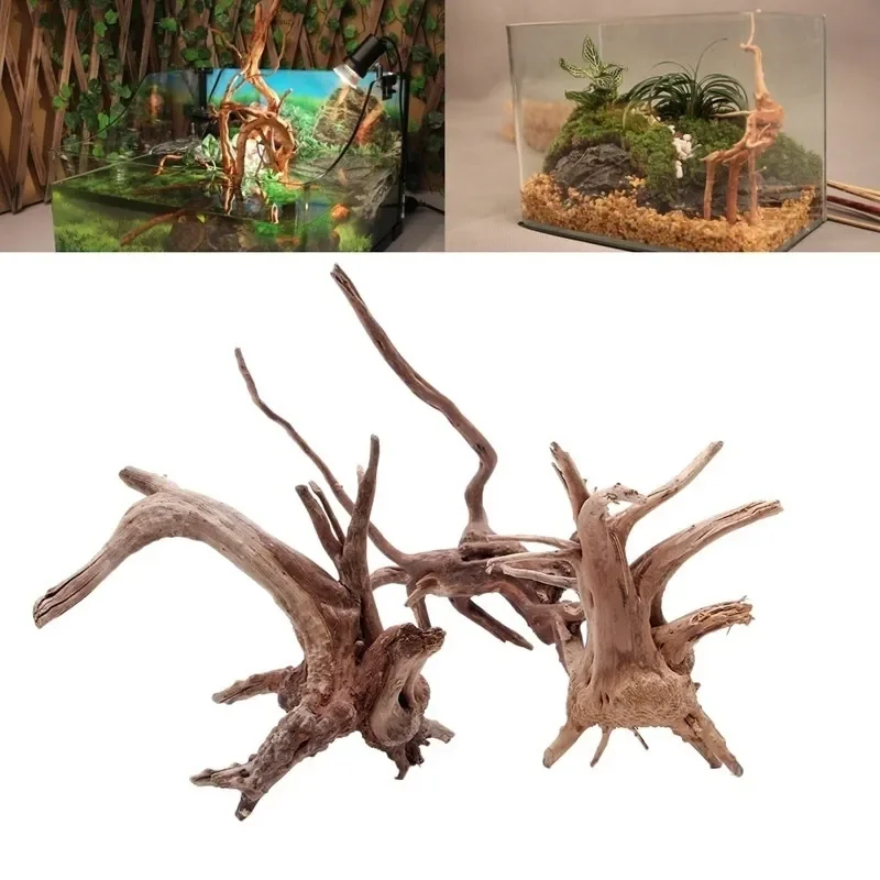 Aquarium Plant Rings - Pohon alami kayu apung akuarium tangki