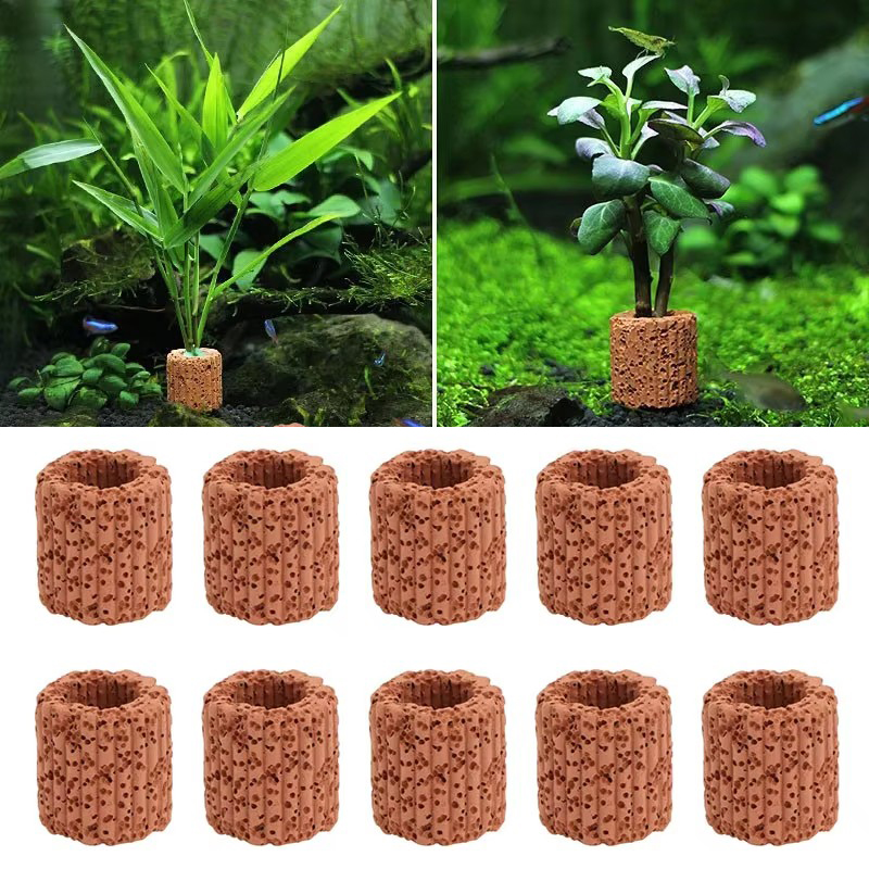 Aquarium Plant Rings - Cincin Tetap Tanaman Air untuk Pemandangan