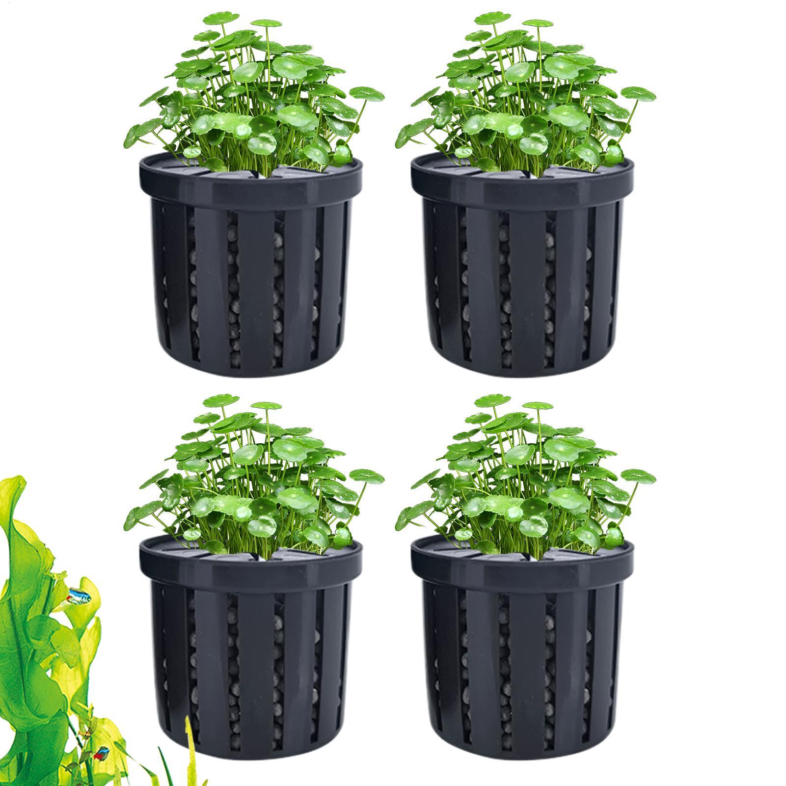 Aquarium Plant Rings - 4 Buah Pot Tanam Akuarium dengan