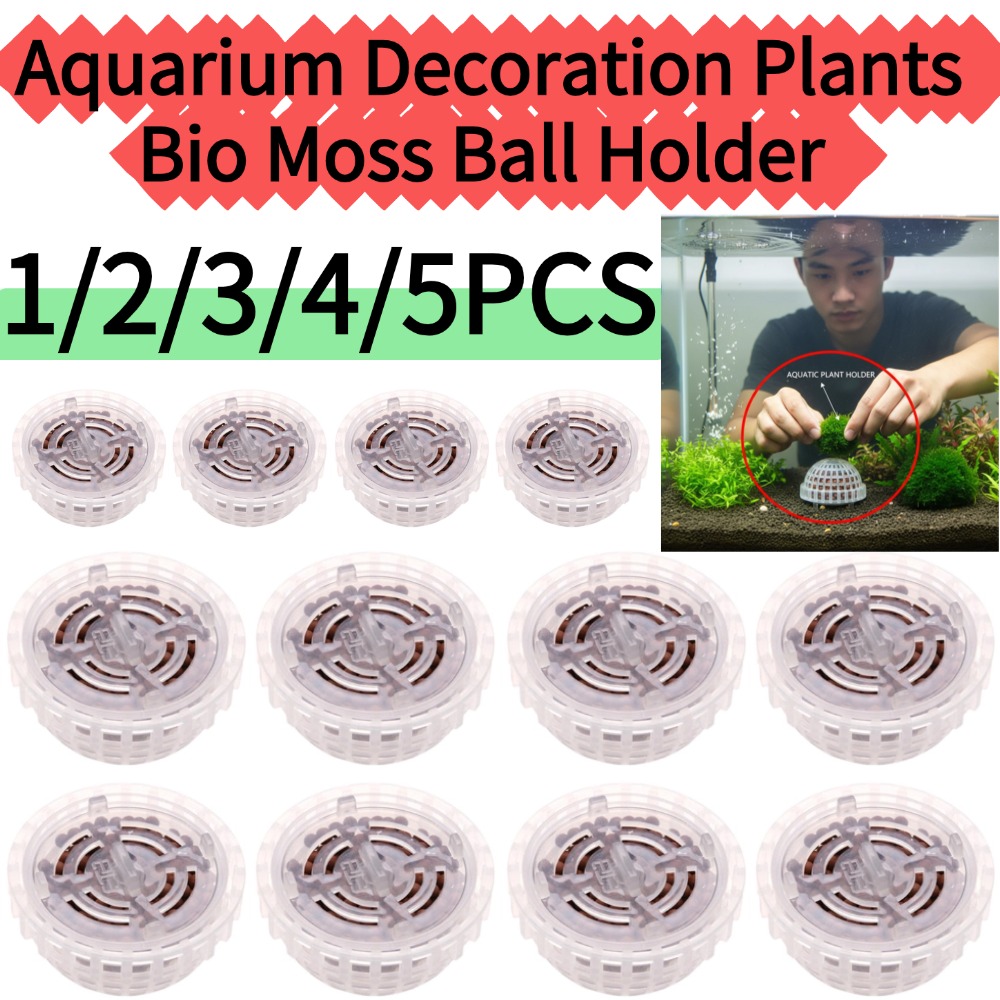 Planted Aquarium Moss - 1/2/3/4/5 Buah Dekorasi Akuarium Tanaman Bio