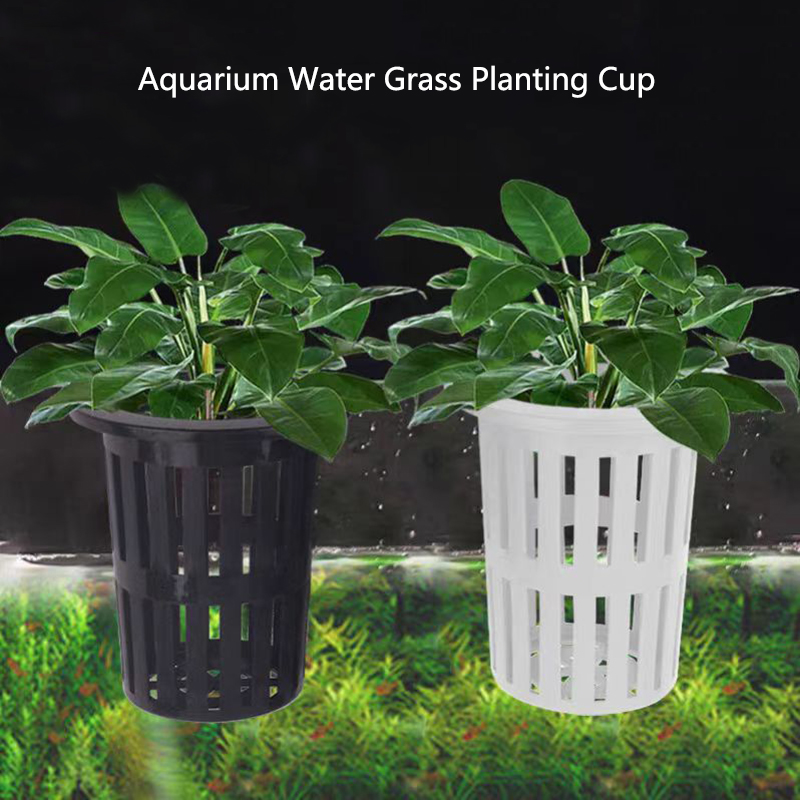 Aquarium Plant Rings - 1/3 Buah Keranjang Tanaman Akuarium Penanam