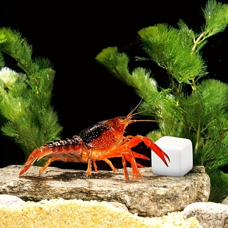 Aquarium Plant Rings - 6 Pcs Blok Kalsium Mineral untuk