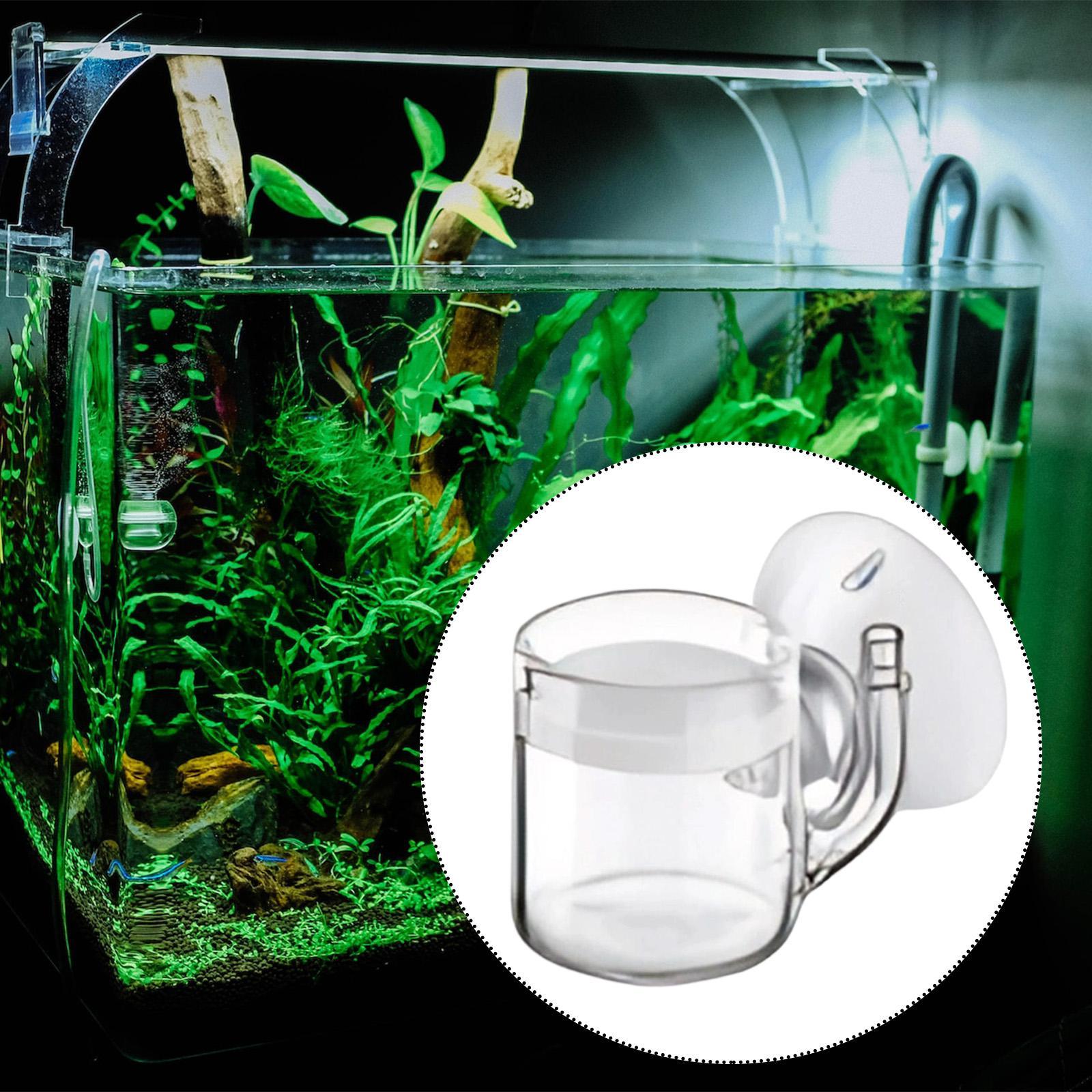 Kit Sistem CO2 Kaca Diffuser A - Planted Aquarium Tank Kit ulasan dan harga