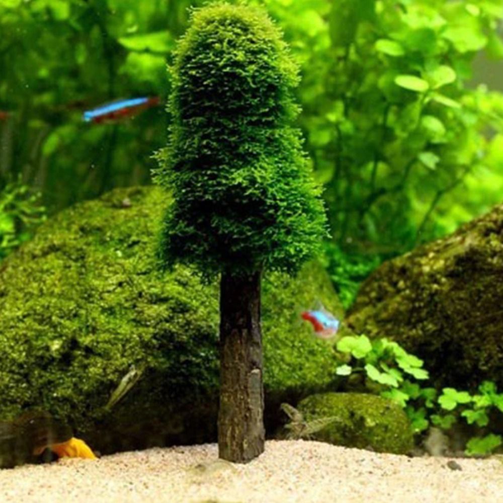 Simulasi Pohon Natal Akuarium  - Planted Aquarium Moss ulasan dan harga