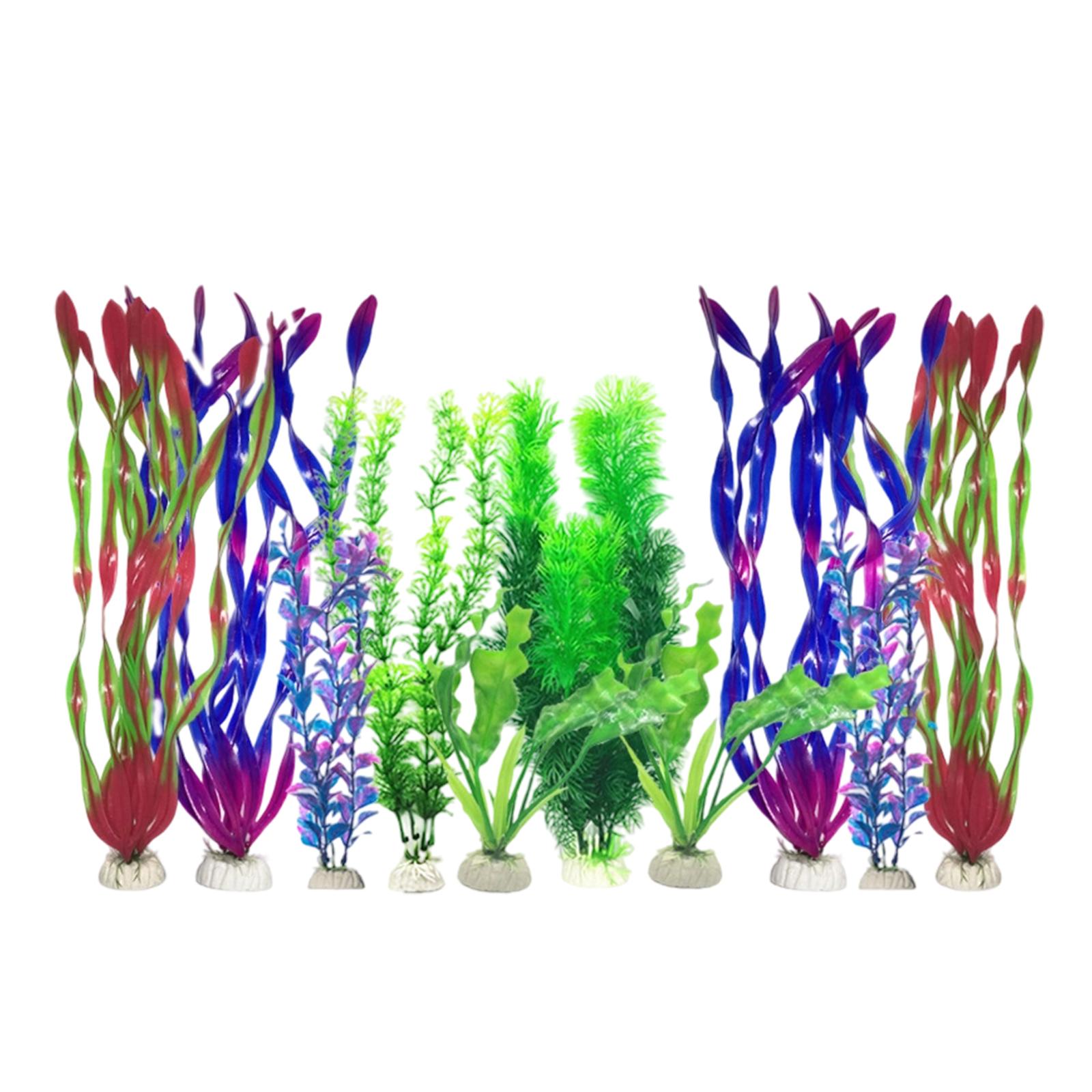 Set Tanaman Akuarium Buatan Pl - Planted Aquarium Tank Kit ulasan dan harga