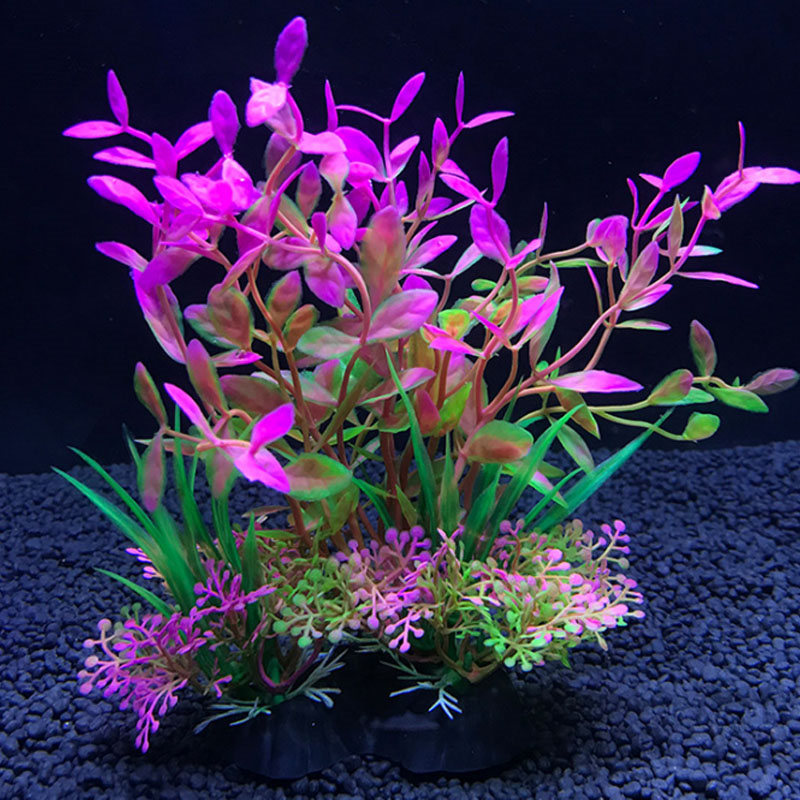 Dekorasi Akuarium Berbagai Tan - Aquarium Plant Varieties ulasan dan harga