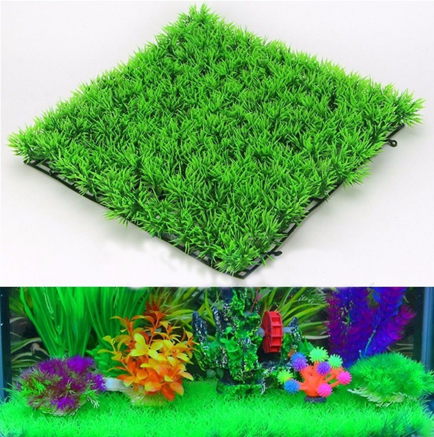 Tanaman Rumput Hijau Buatan Ru - Planted Aquarium Moss ulasan dan harga