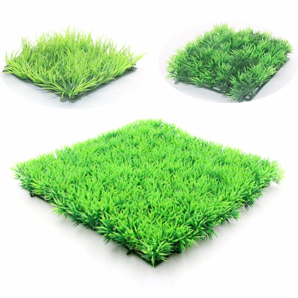 Tanaman Rumput Hijau Buatan Ru - Planted Aquarium Moss ulasan dan harga