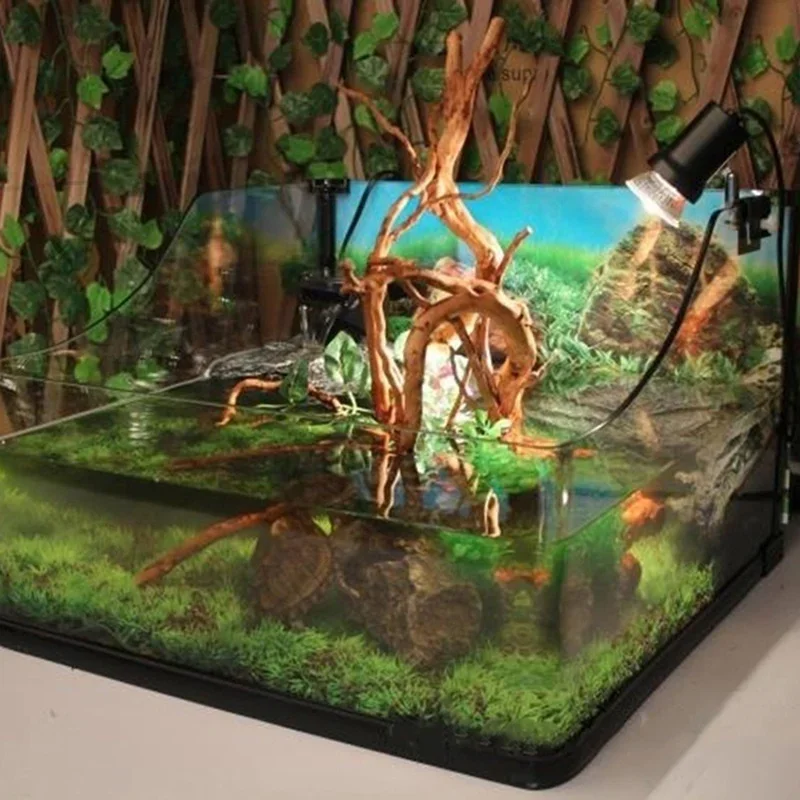Pohon alami kayu apung akuariu - Aquarium Plant Rings ulasan dan harga