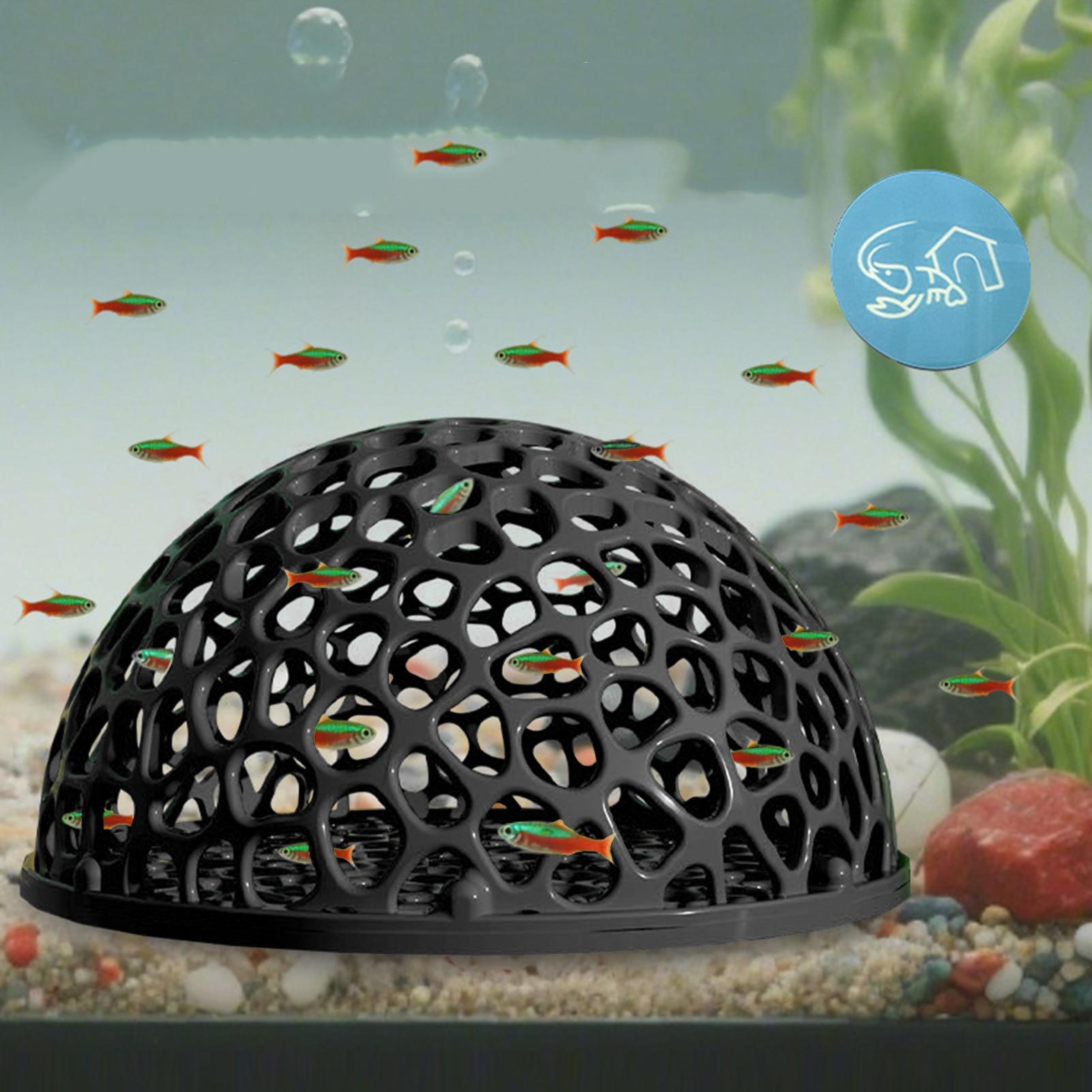 Tempat Persembunyian Tersembun - Aquarium Plant Rings ulasan dan harga