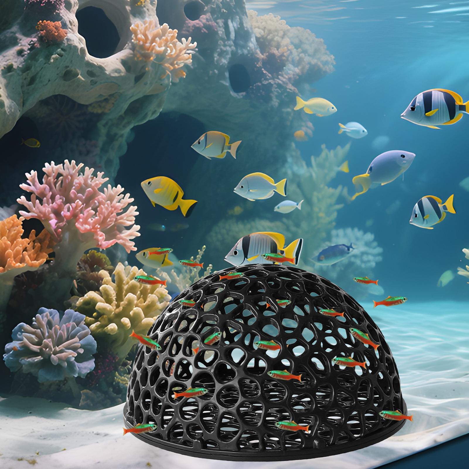 Tempat Persembunyian Tersembun - Aquarium Plant Rings ulasan dan harga