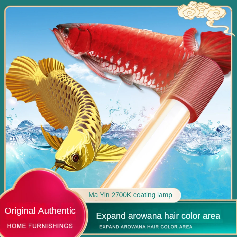Lampu Akuarium Ikan Arowana Ka - Planted Aquarium Yellow Water ulasan dan harga