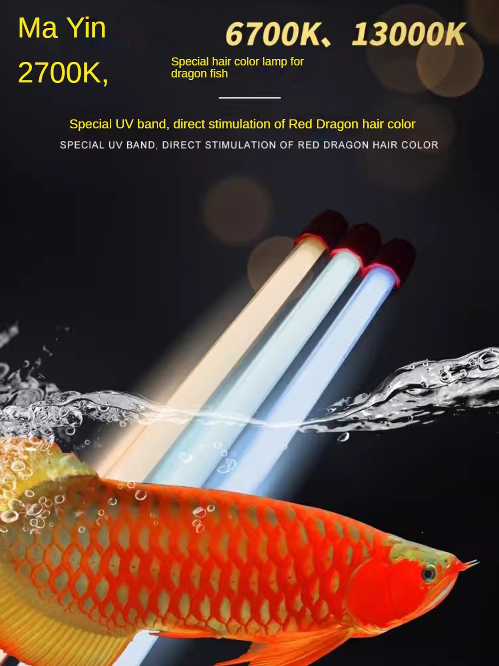 Lampu Akuarium Ikan Arowana Ka - Planted Aquarium Yellow Water ulasan dan harga