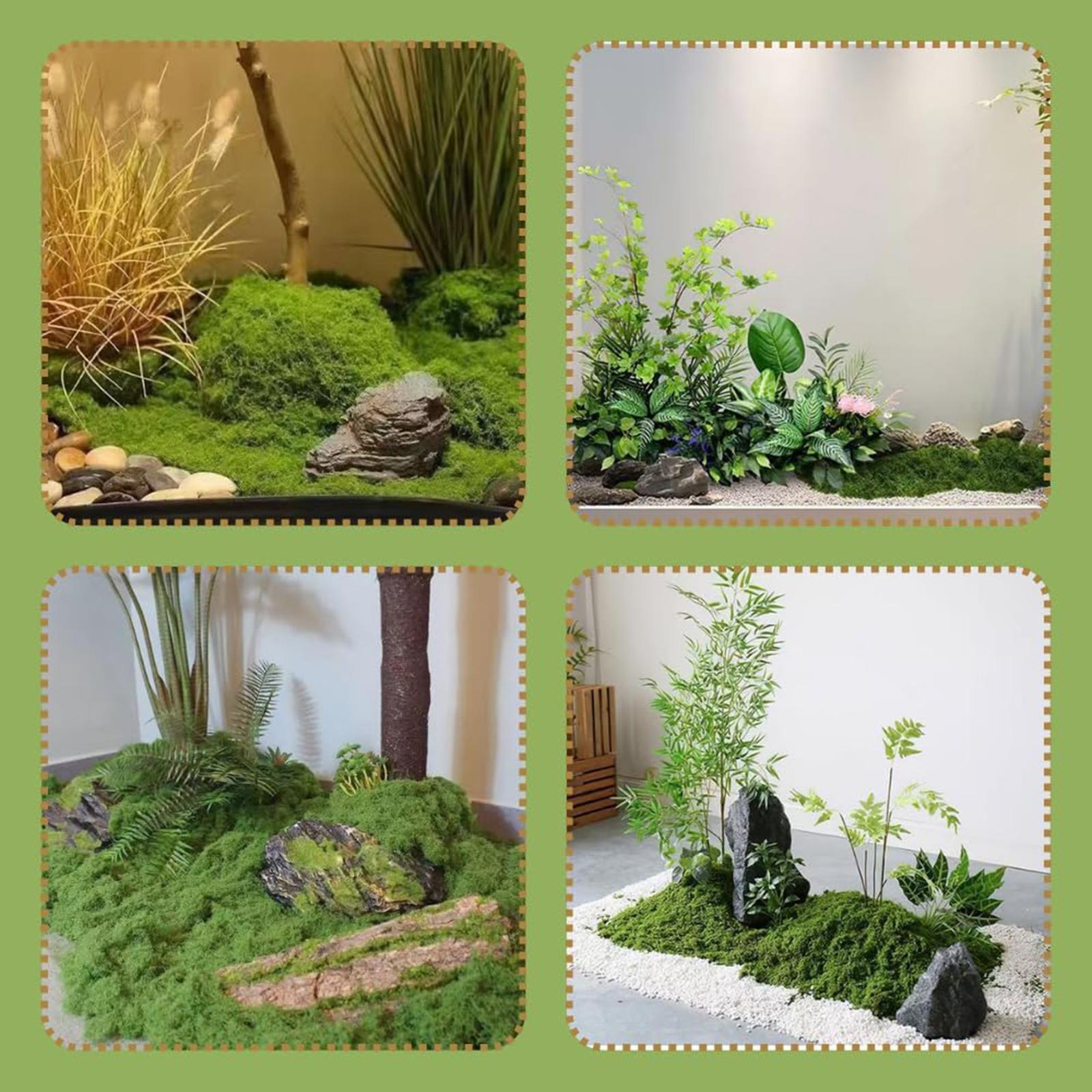 Tanaman Hijau Buatan, Pot Luar - Planted Aquarium Moss ulasan dan harga