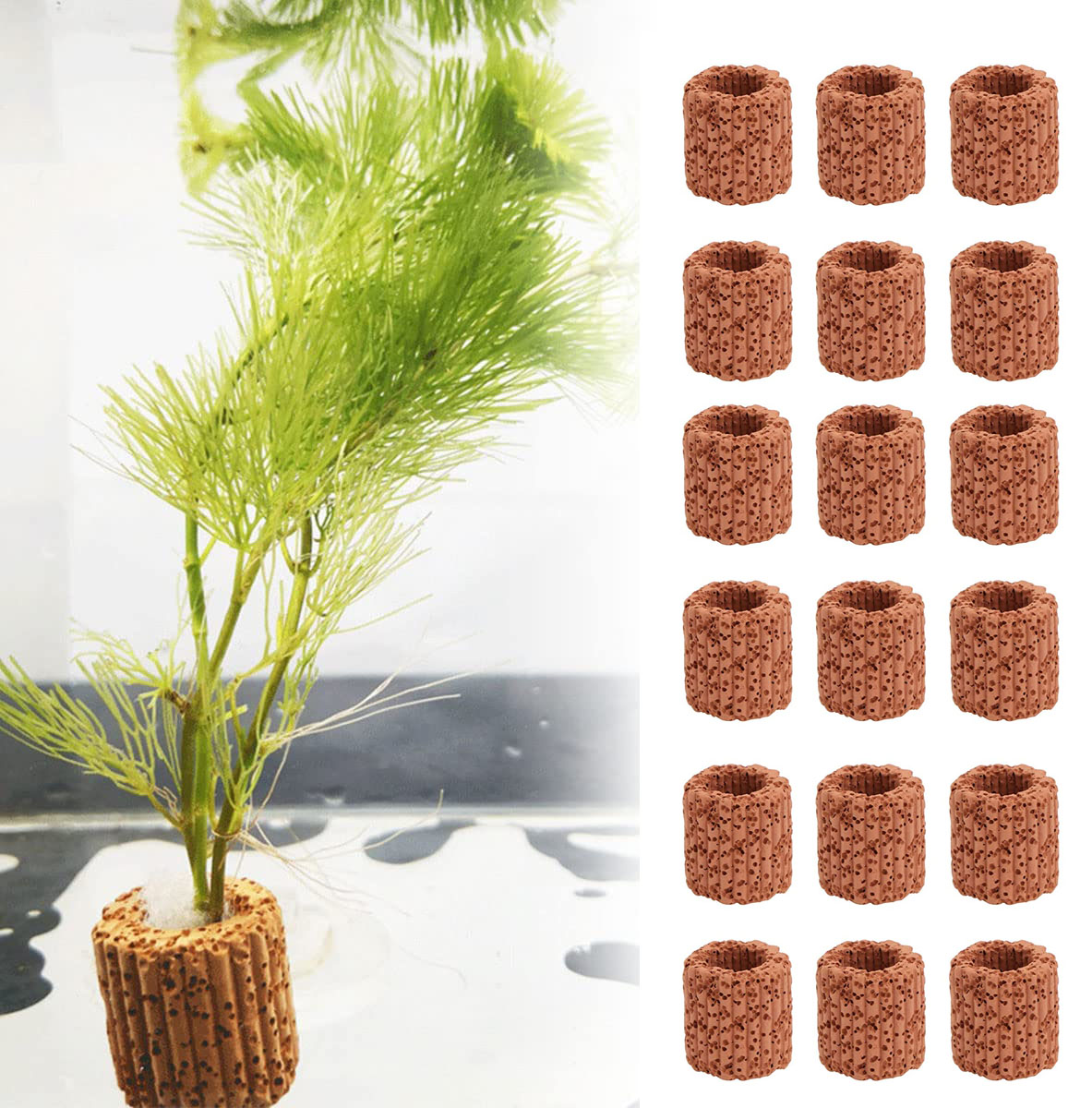 10/20 buah tanaman air akuatik - Aquarium Plant Rings ulasan dan harga