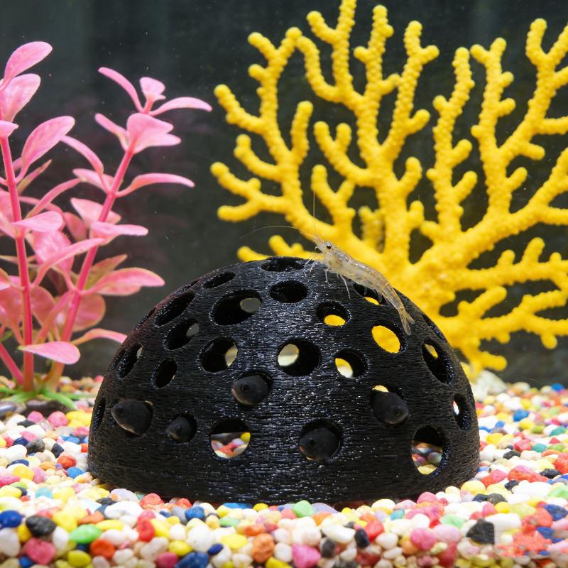 Akuarium Gua Tersembunyi untuk - Aquarium Plant Rings ulasan dan harga