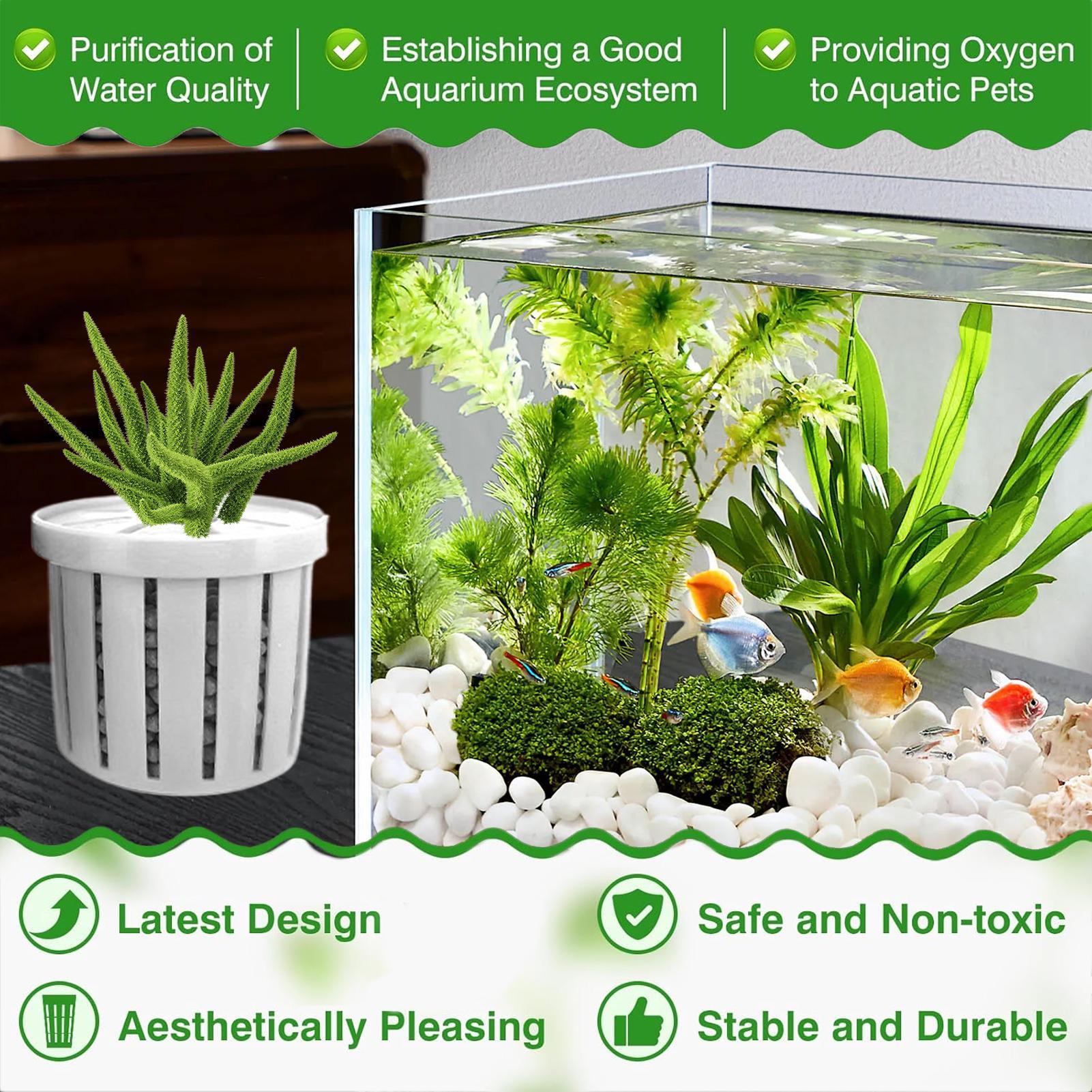 4 Buah Pot Tanam Akuarium deng - Aquarium Plant Rings ulasan dan harga
