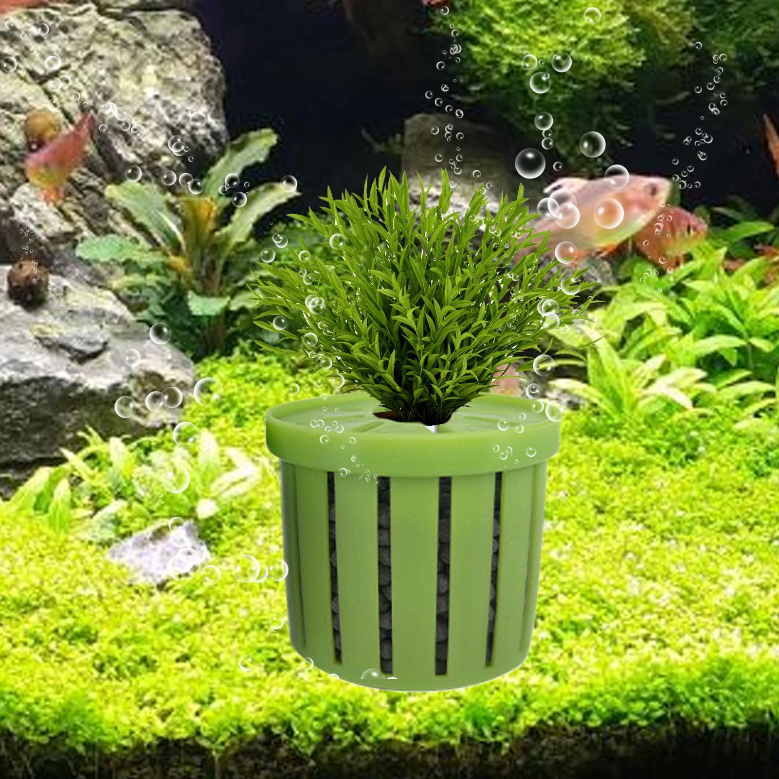 4 Buah Pot Tanam Akuarium deng - Aquarium Plant Rings ulasan dan harga
