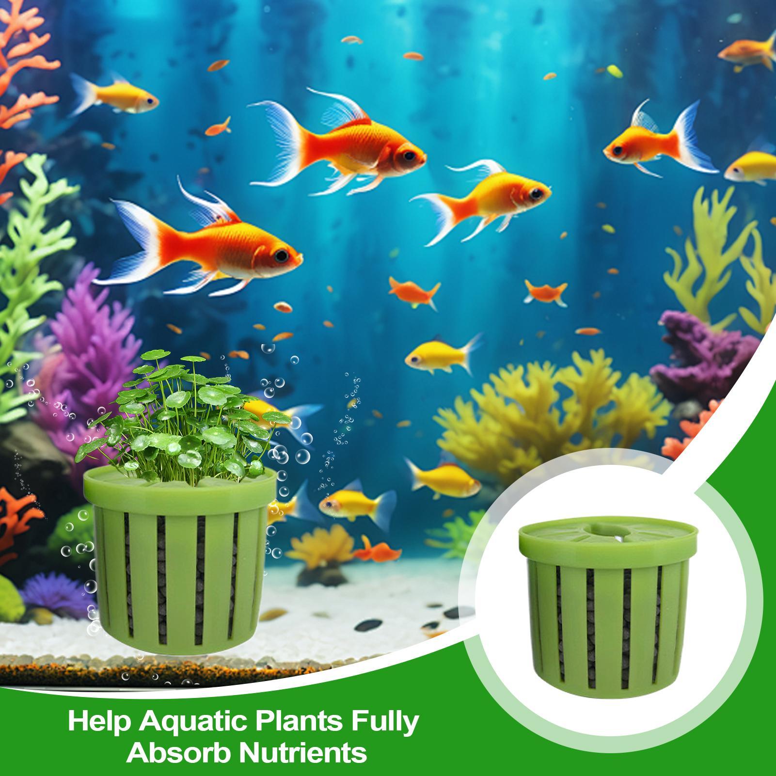 4 Buah Pot Tanam Akuarium deng - Aquarium Plant Rings ulasan dan harga