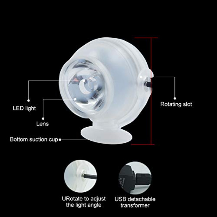Lampu Akuarium LED untuk Tangk - Planted Aquarium Cycling ulasan dan harga