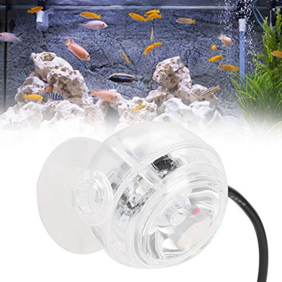 Lampu Akuarium LED untuk Tangk - Planted Aquarium Cycling ulasan dan harga