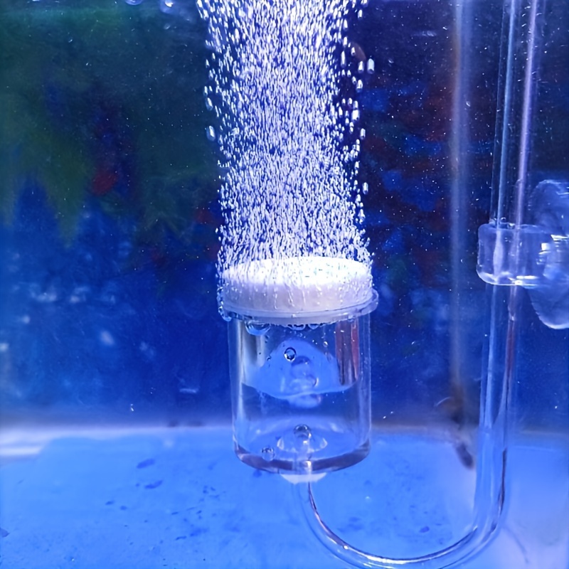 Aquarium kaca CO2 Atomizer Dif - Planted Aquarium Co2 ulasan dan harga