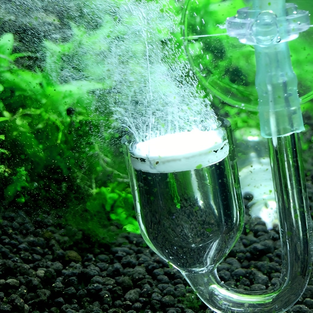Aquarium kaca CO2 Atomizer Dif - Planted Aquarium Co2 ulasan dan harga