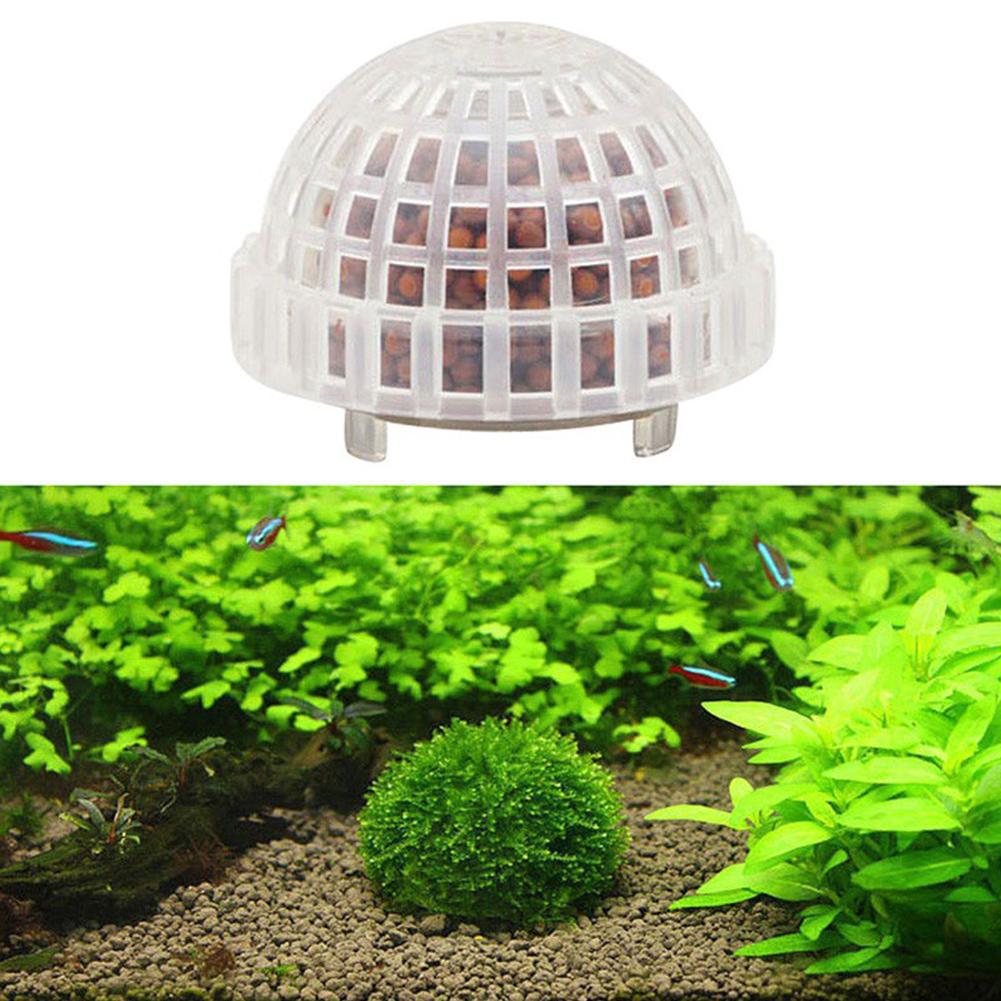 1/2/3/4/5 Buah Dekorasi Akuari - Planted Aquarium Moss ulasan dan harga