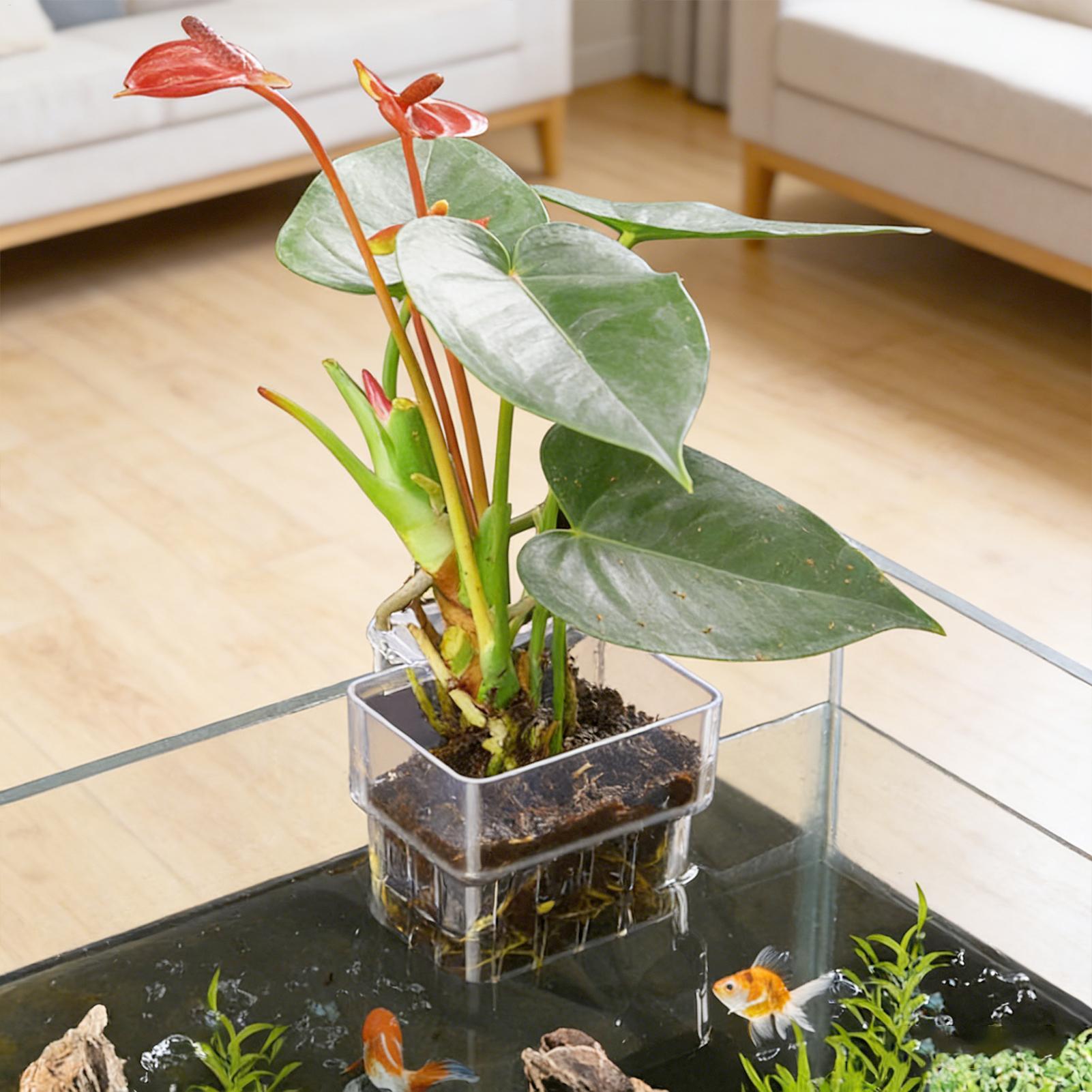 Pot Tanaman Akuarium Transpara - Aquarium Plant Rings ulasan dan harga