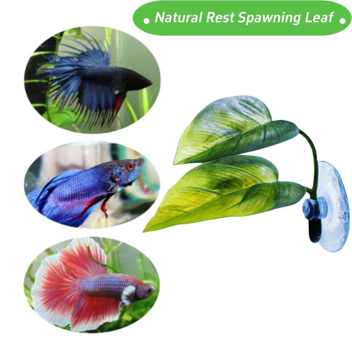 Dekorasi Akuarium Ikan Hias, T - Aquarium Plant Rings ulasan dan harga
