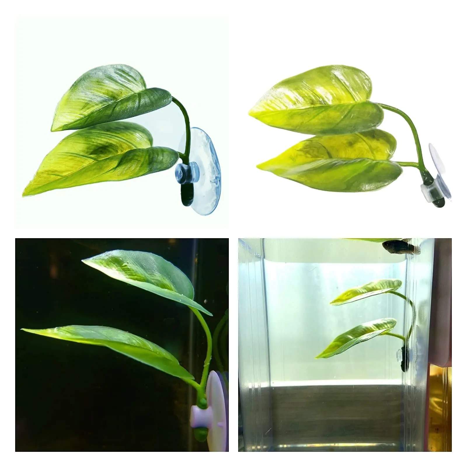 Dekorasi Akuarium Ikan Hias, T - Aquarium Plant Rings ulasan dan harga