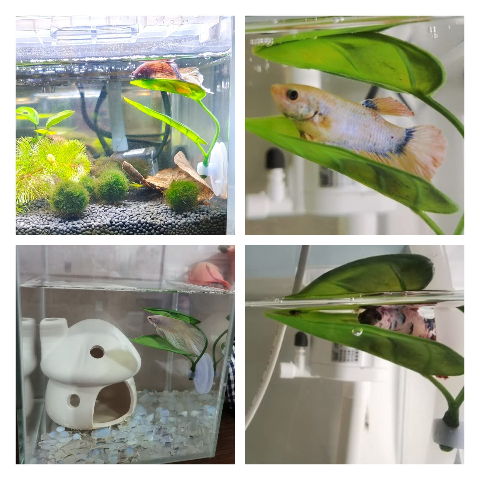 Dekorasi Akuarium Ikan Hias, T - Aquarium Plant Rings ulasan dan harga