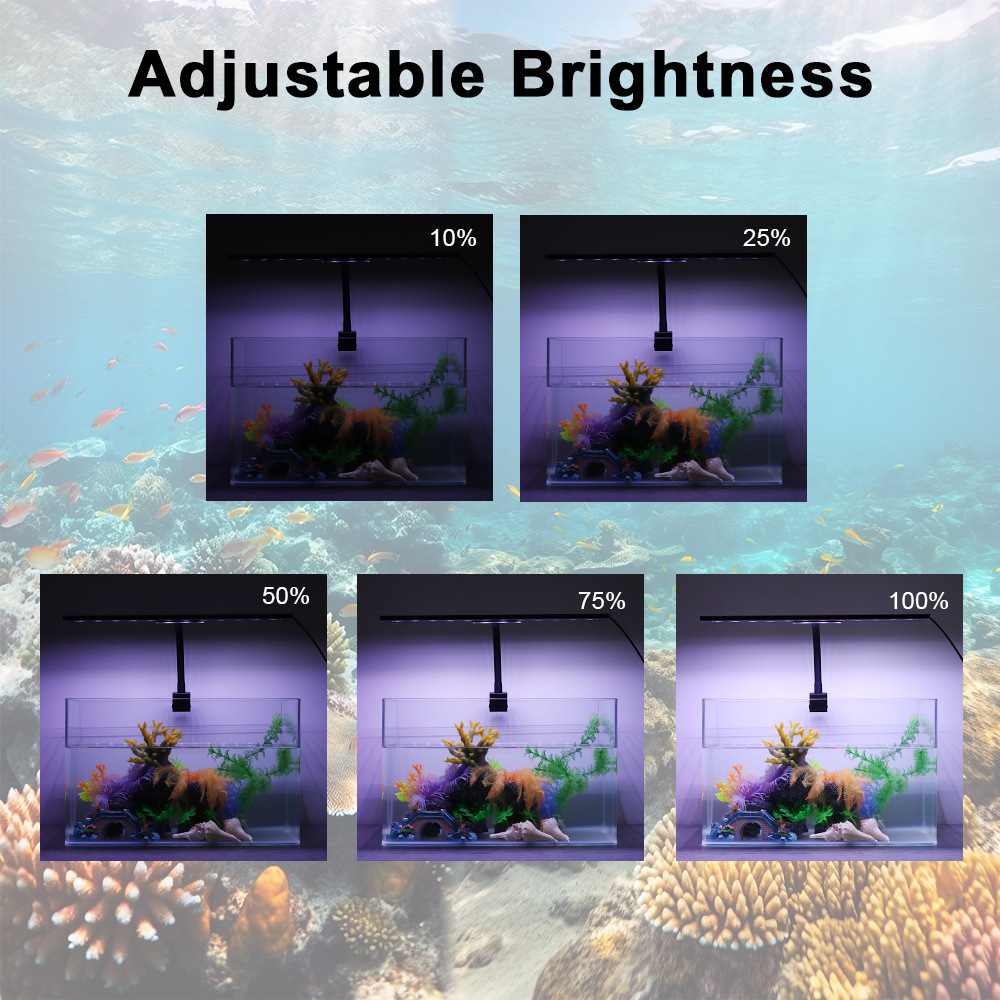 Lampu LED Akuarium 24/7 Siklus - Planted Aquarium Cycling ulasan dan harga