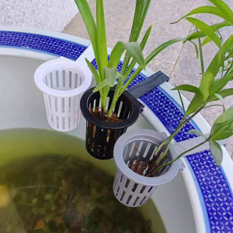1/3 Buah Keranjang Tanaman Aku - Aquarium Plant Rings ulasan dan harga
