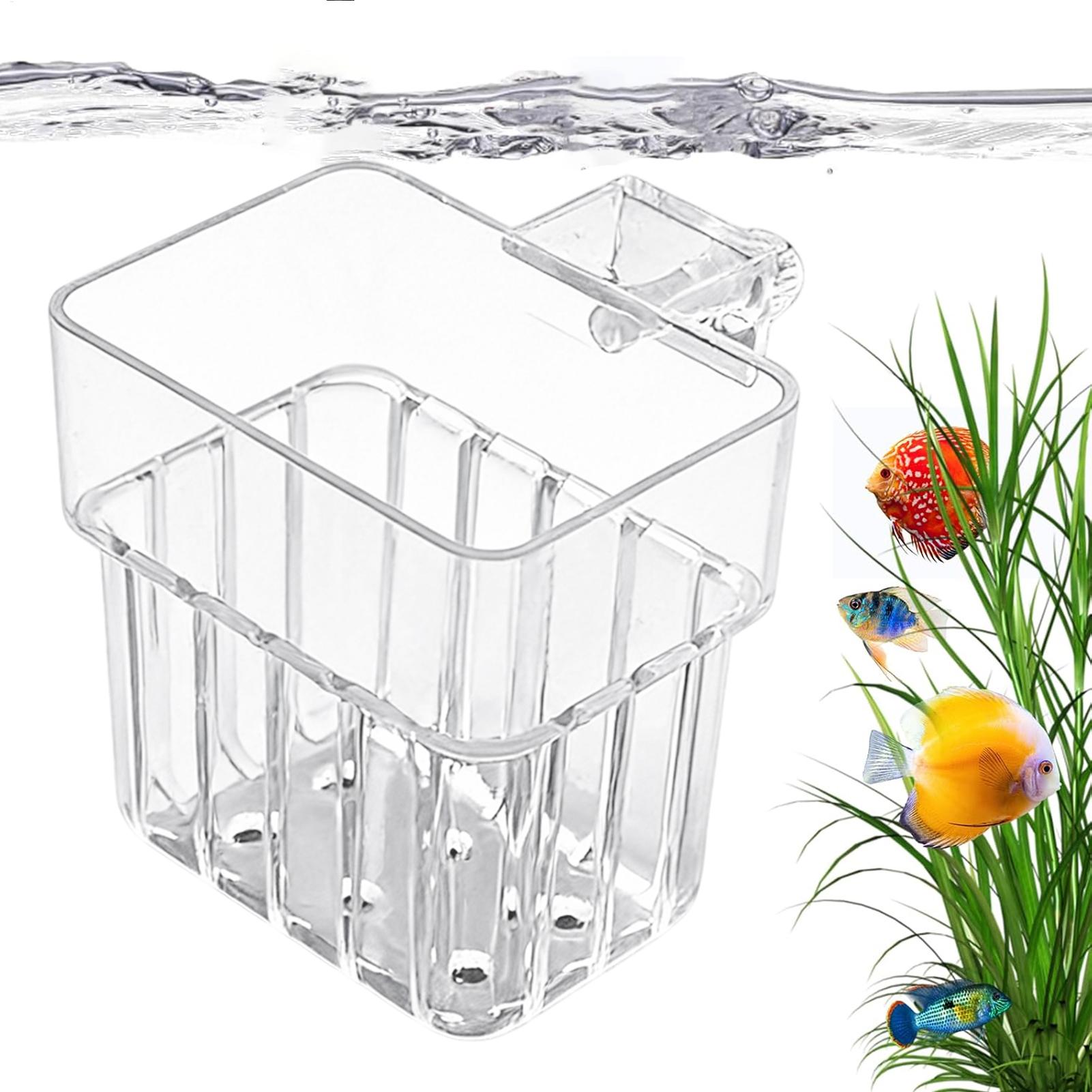 Pot Gantung Transparan untuk A - Aquarium Plant Rings ulasan dan harga