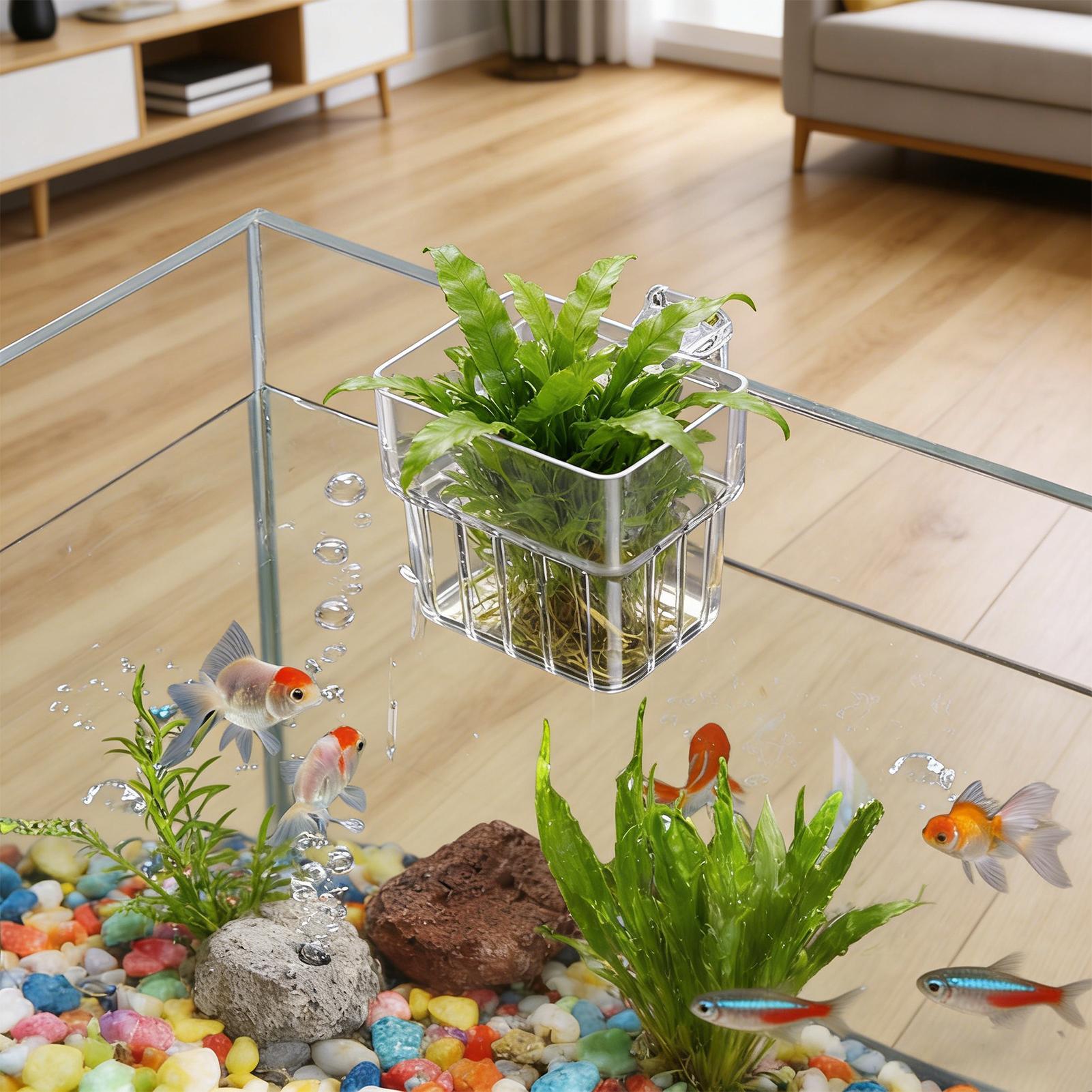 Pot Gantung Transparan untuk A - Aquarium Plant Rings ulasan dan harga