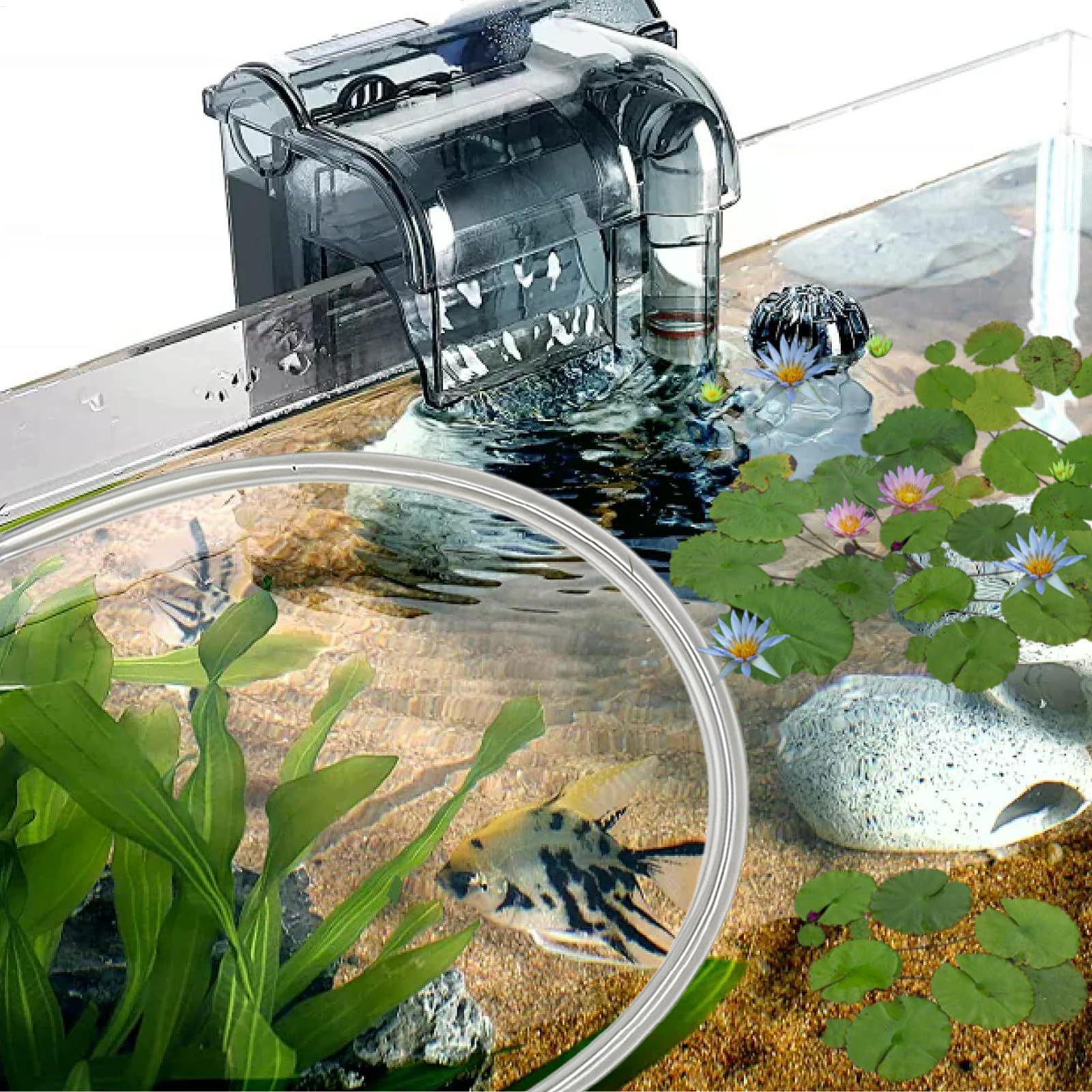 Pembatas Tanaman Terapung Akua - Planted Aquarium Tank Kit ulasan dan harga