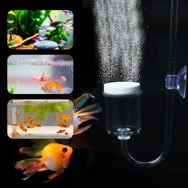 4 buah Set CO2 DIY Diffuser, u - Planted Aquarium Moss ulasan dan harga