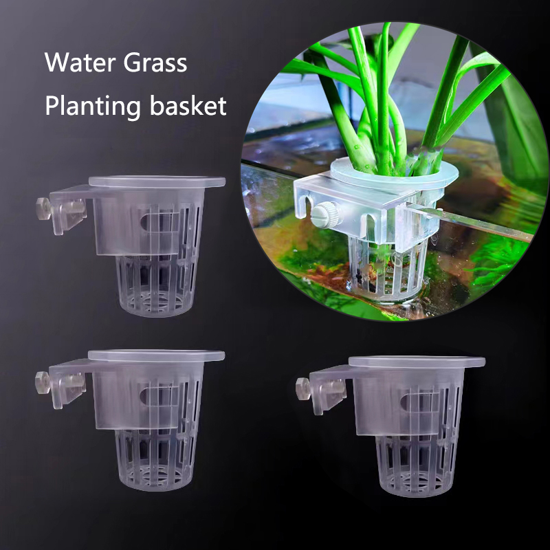 Keranjang penanaman akuarium h - Aquarium Plant Rings ulasan dan harga