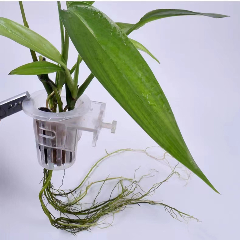 Keranjang penanaman akuarium h - Aquarium Plant Rings ulasan dan harga