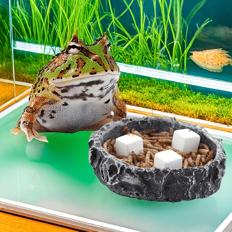6 Pcs Blok Kalsium Mineral unt - Aquarium Plant Rings ulasan dan harga